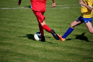 Milan Sports-世界围棋赛多国选手展现东亚围棋影响力,东南亚围棋 第3张 Milan Sports-世界围棋赛多国选手展现东亚围棋影响力,东南亚围棋 第3张