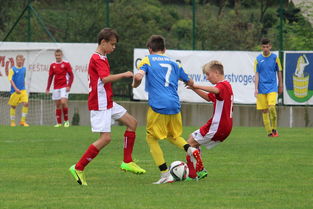 MILANSPORT下载-国际乒联宣布新赛制，赛事更加精彩，国际乒联比赛2021