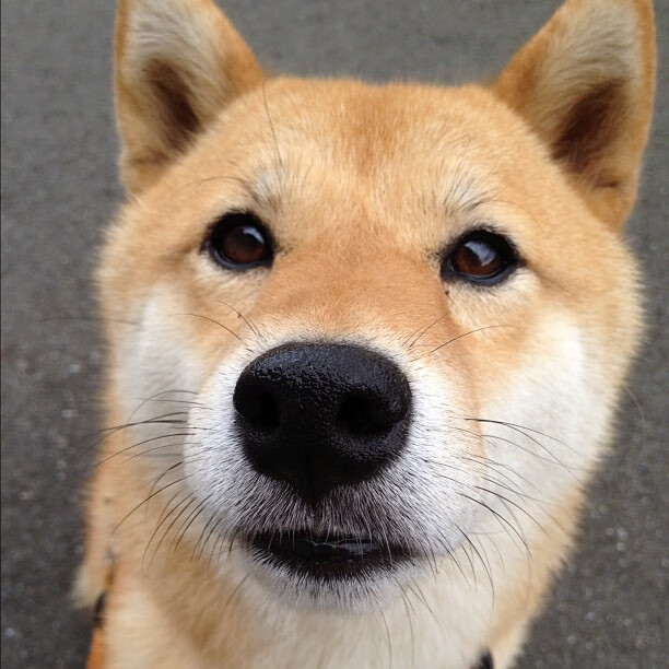 米兰体育-国际热身赛中国足球晋级 球迷一致好评，国际足球热身赛是什么