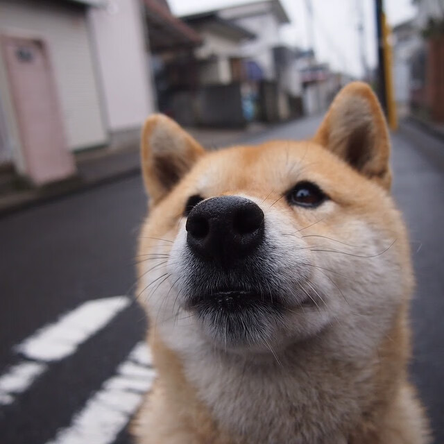 MILANSPORT下载-外教政策调整对球队影响评估，外教政策的基本准则  第3张