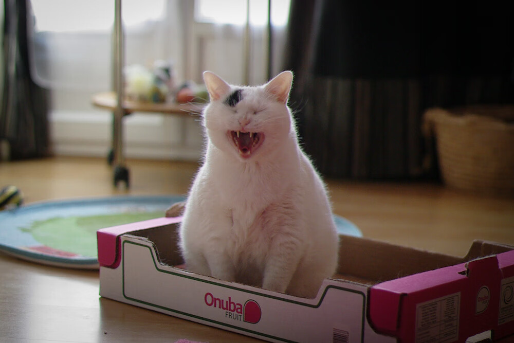 米兰体育-曼联边后卫助攻频繁拉开宽度，曼联史上十大最强边后卫