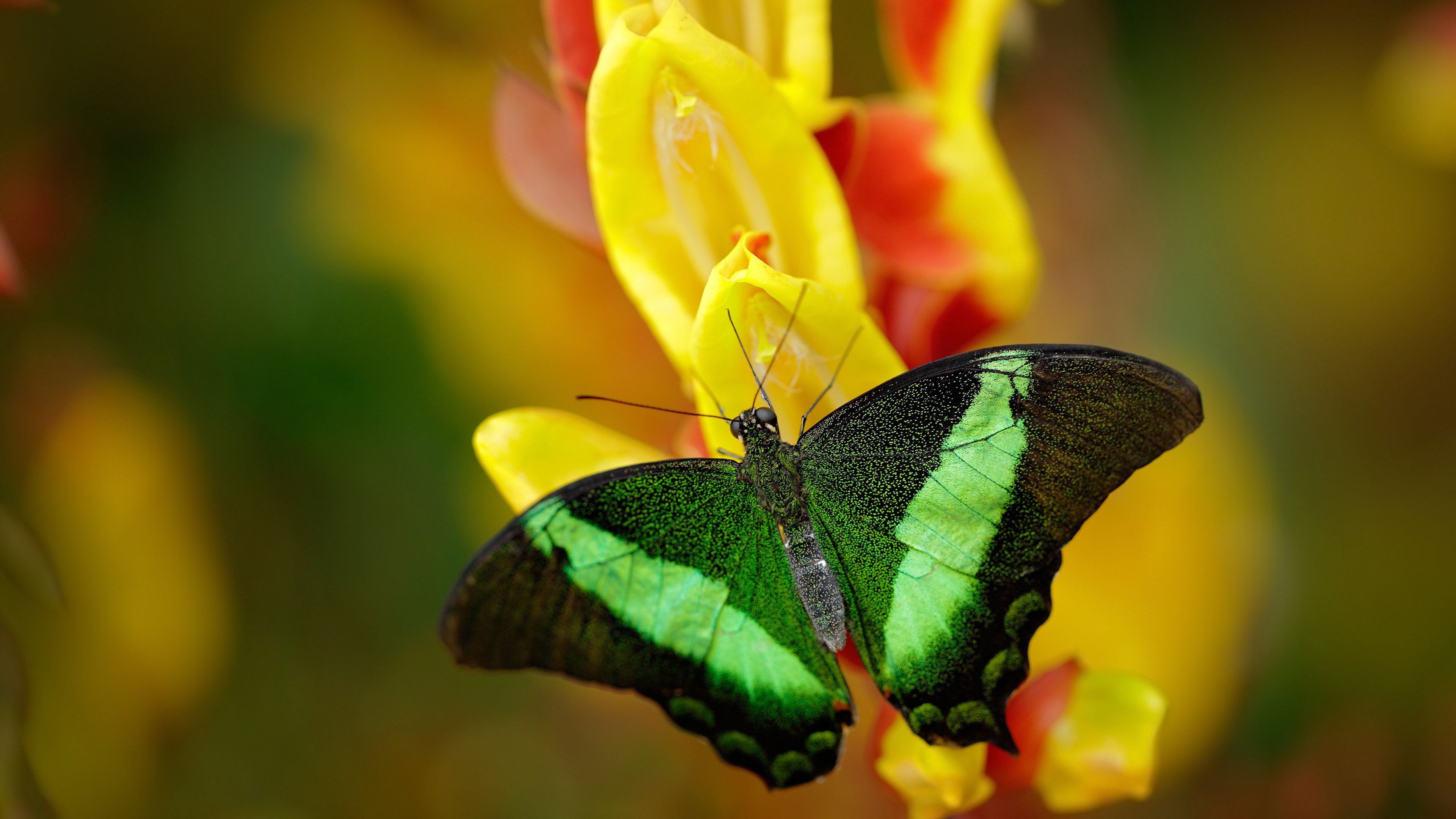 Milan Sports-篮球公益活动拉动超 140 人参与社区环保行动，篮球公益活动方案