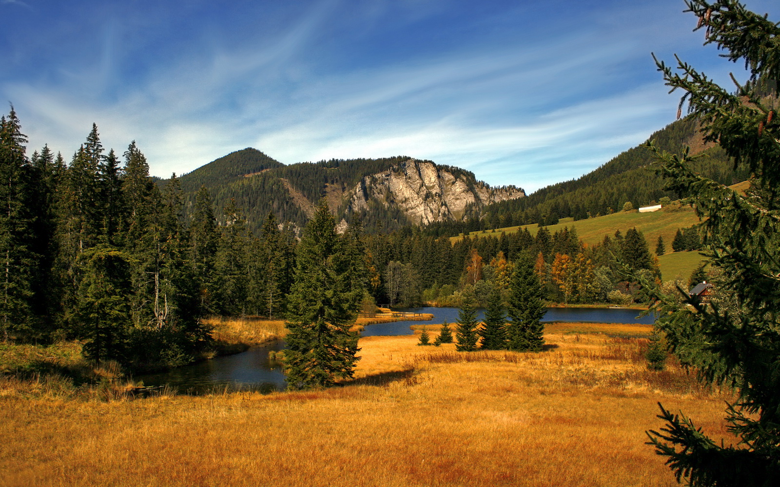 AC米兰-罗马尼亚队赛制解析：如何突破团体赛中的心理与技术挑战，罗马尼亚足球联赛水平