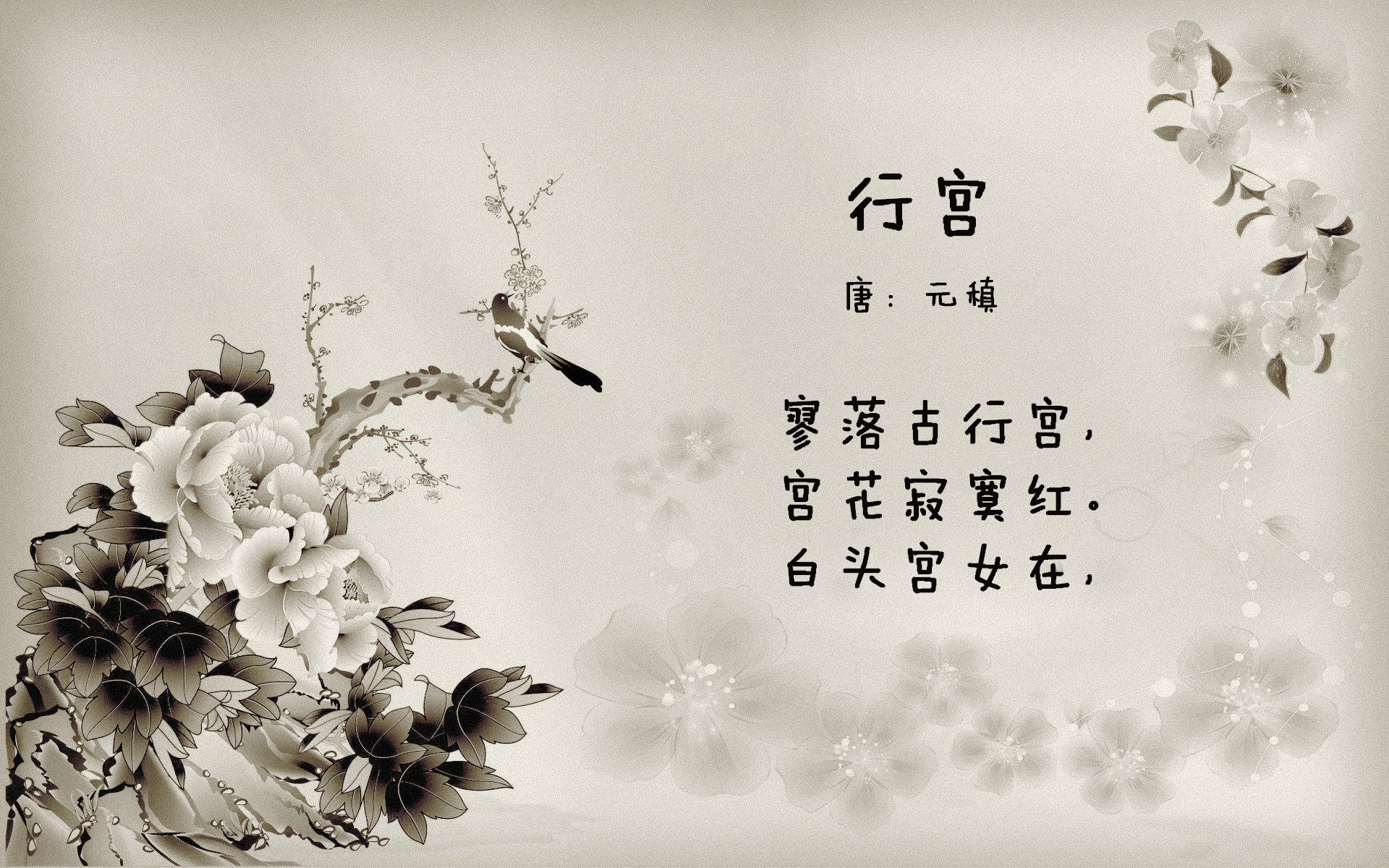 AC米兰-“华金·托比利亚：阿根廷美洲狮队的后卫之星，未来可期”