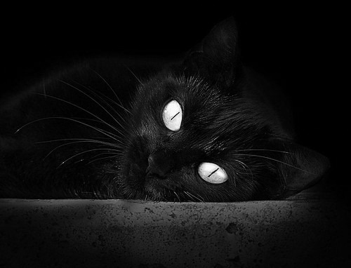 米兰登录入口-“费尔南多·比亚尔巴的传球艺术，成就阿根廷美洲狮队未来核心”