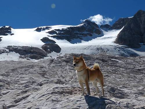米兰登录入口-国际友谊赛以和平主题命名，体育外交效果显著，国际友谊赛什么意思