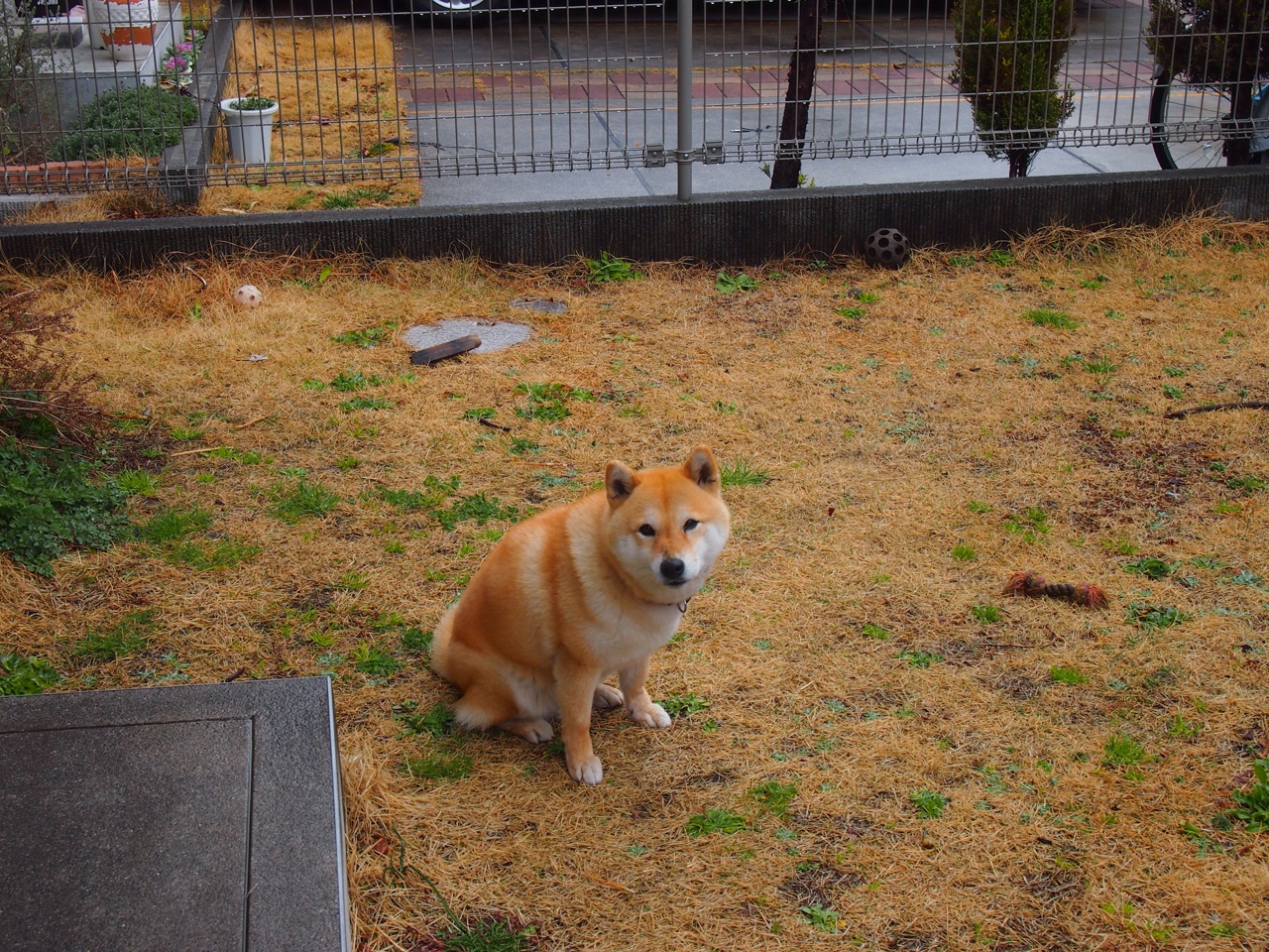 AC米兰-尤文图斯引援成功，中场实力大幅增强