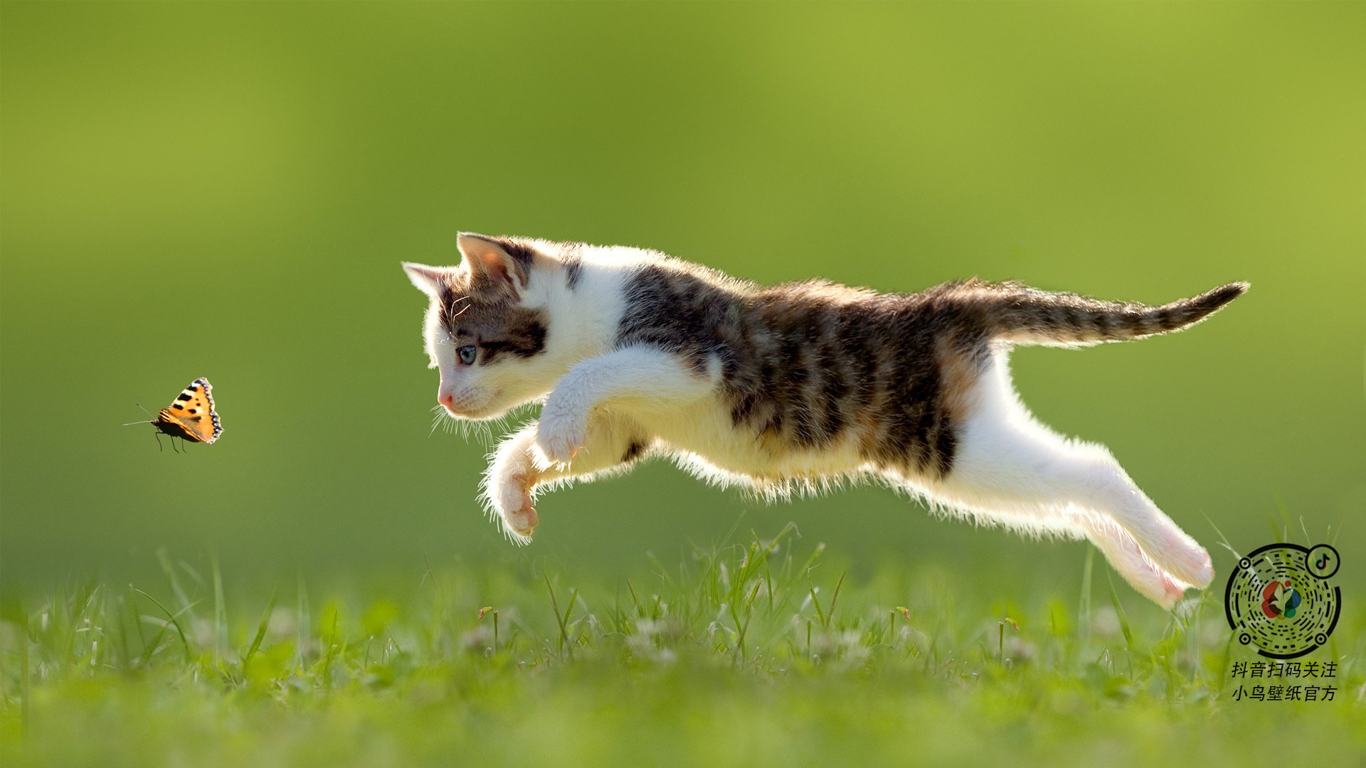 米兰体育-意甲精彩集锦:每一次精彩瞬间都令人振奋,意甲精选