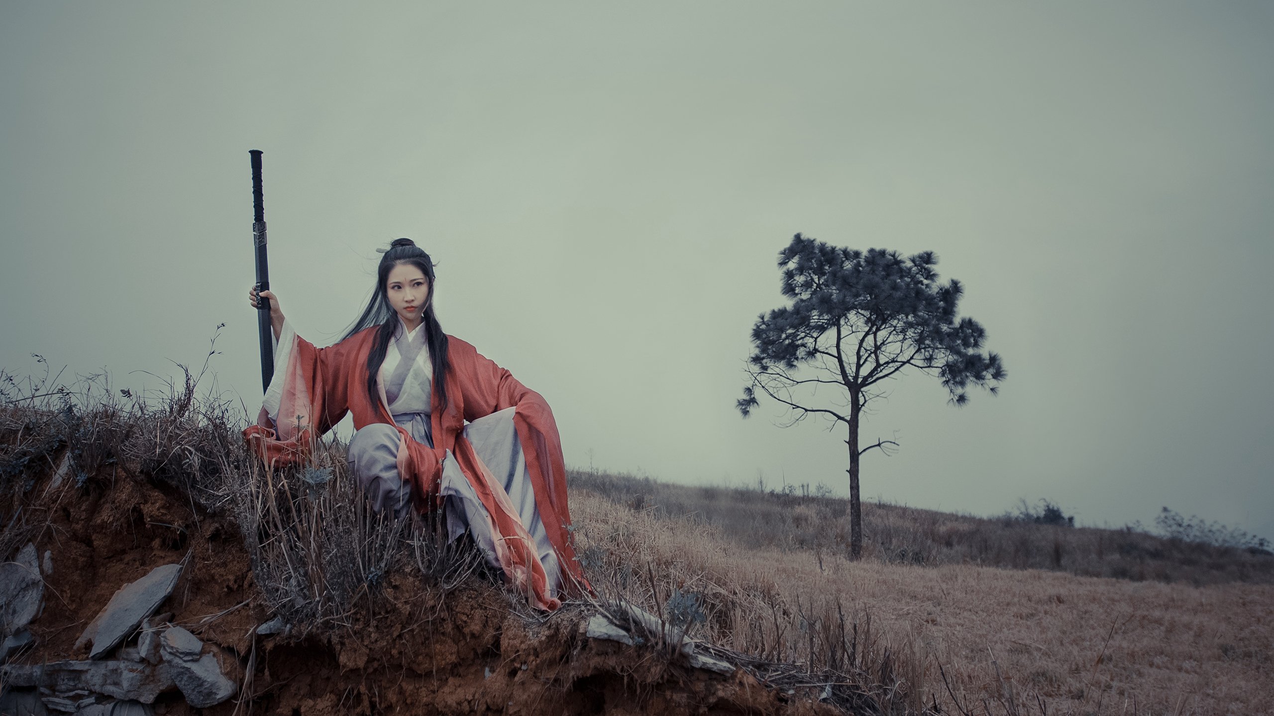 米兰登录入口-荷兰队在欧洲预赛中持续领先,晋级希望大增