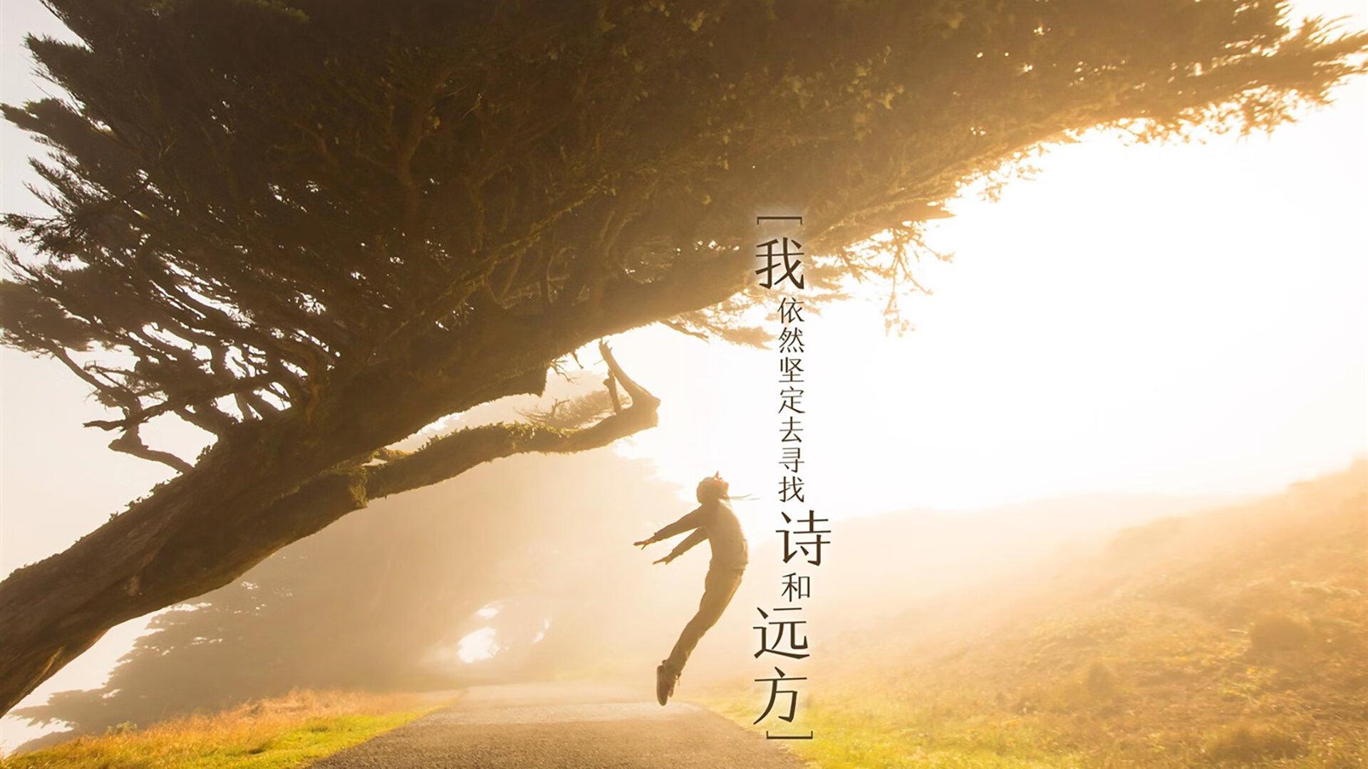 米兰体育官网-西甲神级门将:神扑多次救险引爆全场,西甲门将60米吊射