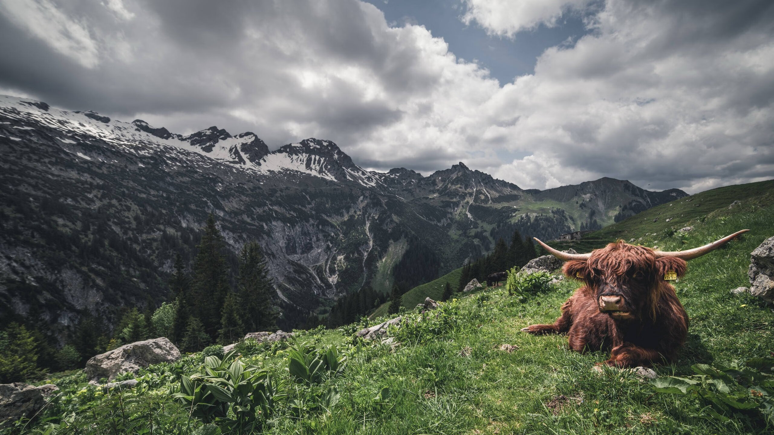 MILANSPORT下载-跳水决赛吉尔吉斯斯坦选手奋力冲刺，吉尔吉斯斯坦奥运冠军