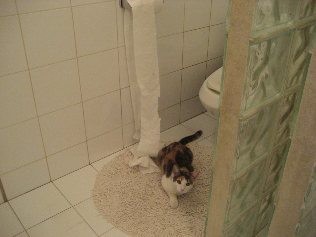 MILANSPORT下载-跳水稳定输出吉尔吉斯斯坦锁定奖牌希望，吉尔吉斯斯坦 举重