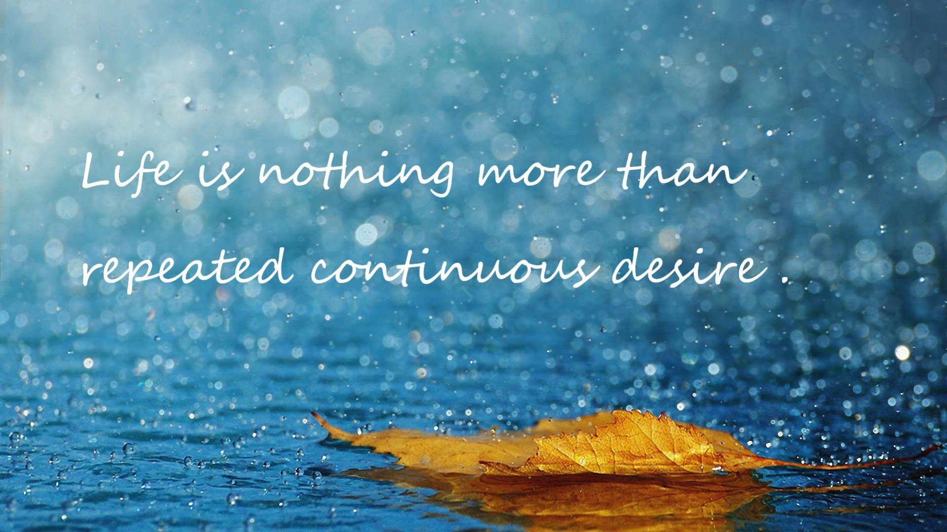 米兰体育官网-青训球员选拔更重视实战表现与心理素质稳定性，球星青训