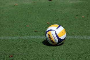 Milan Sports-中国男排世锦赛名单确定，俞元泰、于垚辰入选，中国男排世锦赛资格