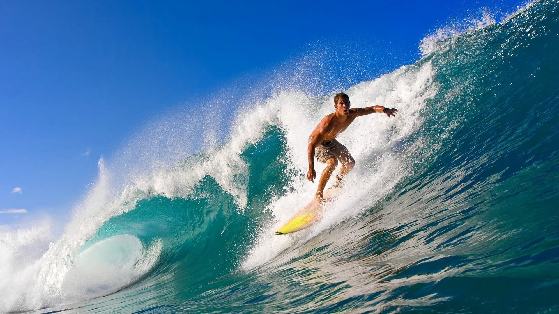 体育赛事数字平台竞争